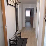 Seven Ducks آلين